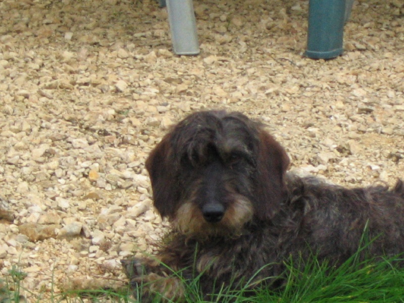 Vénus du Domaine de la Veyssière