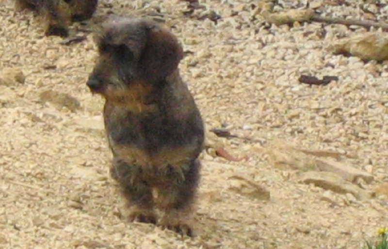 Odile De la grange longue