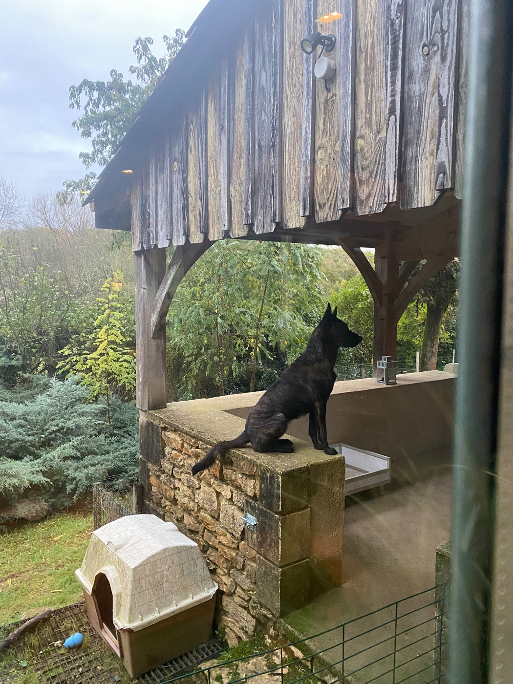 Theodred du Domaine de la Veyssière