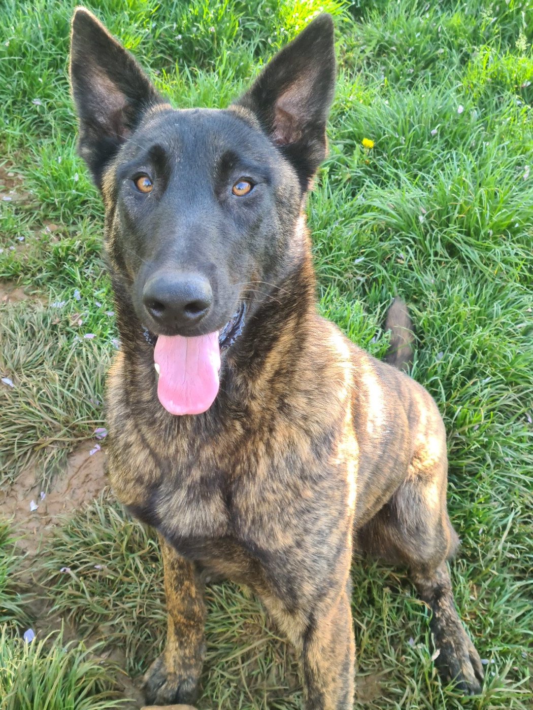 Vol De Mort du Domaine de la Veyssière
